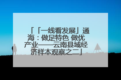 「一线看发展」通海：做足特色 做优产业——云南县域经济样本观察之二