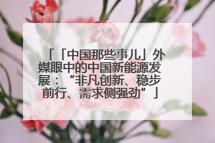 「中国那些事儿」外媒眼中的中国新能源发展：“非凡创新、稳步前行、需求侧强劲”