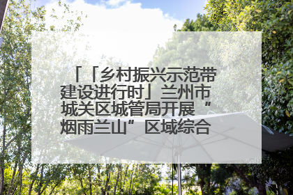 「乡村振兴示范带建设进行时」兰州市城关区城管局开展“烟雨兰山”区域综合整治专项行动