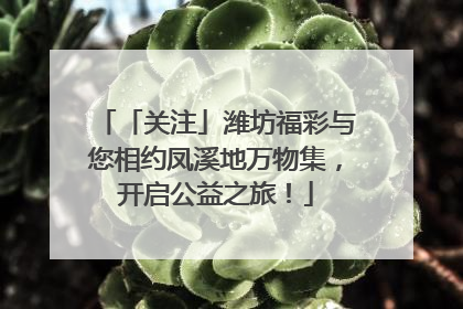 「关注」潍坊福彩与您相约凤溪地万物集，开启公益之旅！