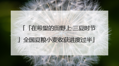 「在希望的田野上·三夏时节」全国夏粮小麦收获进度过半
