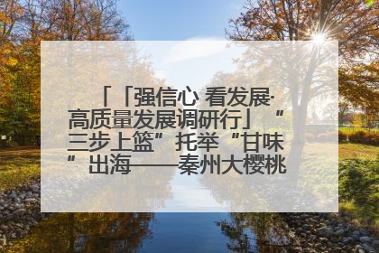 「强信心 看发展·高质量发展调研行」“三步上篮”托举“甘味”出海——秦州大樱桃高质量发展动作分解