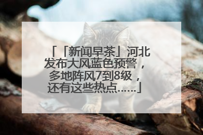 「新闻早茶」河北发布大风蓝色预警，多地阵风7到8级，还有这些热点……