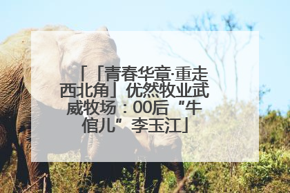 「青春华章·重走西北角」优然牧业武威牧场：00后“牛倌儿”李玉江