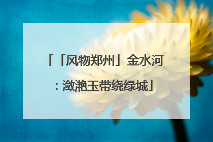 「风物郑州」金水河：潋滟玉带绕绿城