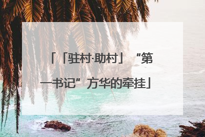 「驻村·助村」“第一书记”方华的牵挂