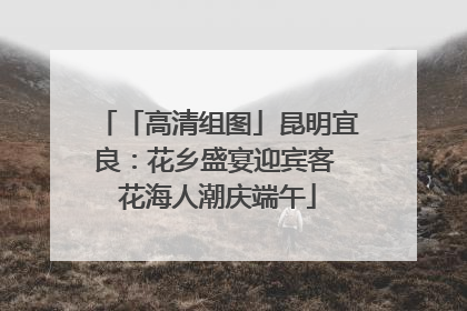「高清组图」昆明宜良：花乡盛宴迎宾客 花海人潮庆端午