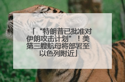 “特朗普已批准对伊朗攻击计划”！美第三艘航母将部署至以色列附近