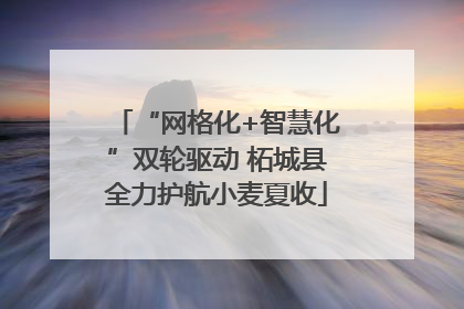 “网格化+智慧化”双轮驱动 柘城县全力护航小麦夏收