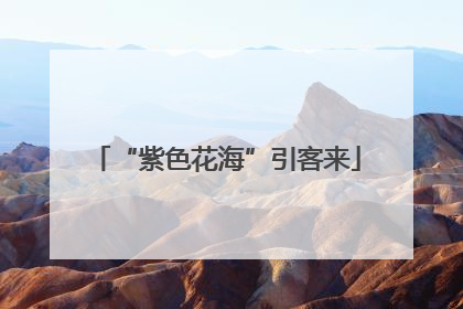 “紫色花海”引客来