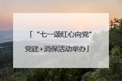“七一颂红心向党”党建+消保活动举办