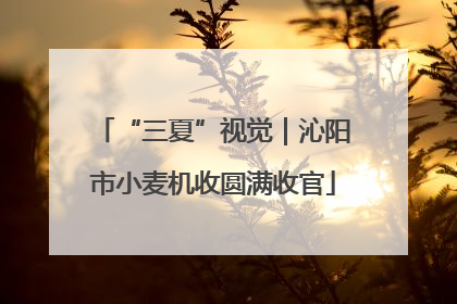 “三夏”视觉｜沁阳市小麦机收圆满收官