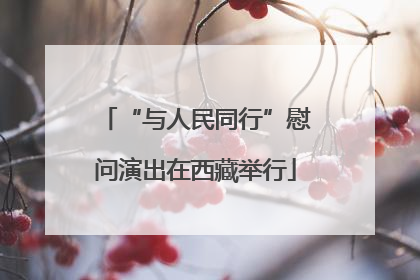 “与人民同行”慰问演出在西藏举行