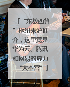 “东数西算”枢纽来沪推介，这里竟是华为云、腾讯和网易的算力“大本营”