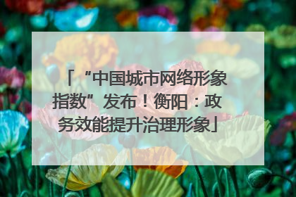 “中国城市网络形象指数”发布！衡阳：政务效能提升治理形象