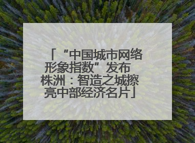 “中国城市网络形象指数”发布 株洲：智造之城擦亮中部经济名片
