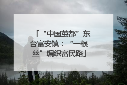 “中国茧都”东台富安镇：“一根丝”编织富民路