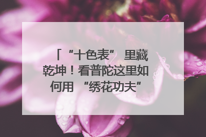 “十色表” 里藏乾坤！看普陀这里如何用 “绣花功夫” 织就社区治理