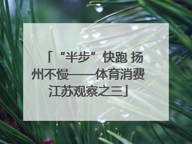 “半步”快跑 扬州不慢——体育消费江苏观察之三