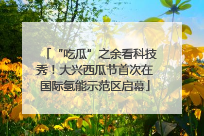“吃瓜”之余看科技秀！大兴西瓜节首次在国际氢能示范区启幕