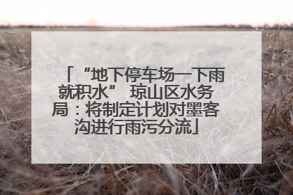 “地下停车场一下雨就积水” 琼山区水务局：将制定计划对墨客沟进行雨污分流
