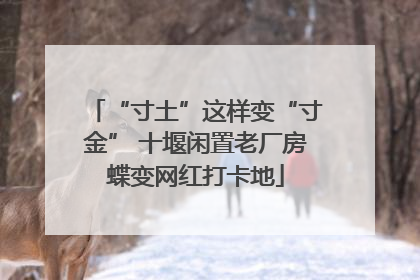 “寸土”这样变“寸金” 十堰闲置老厂房蝶变网红打卡地