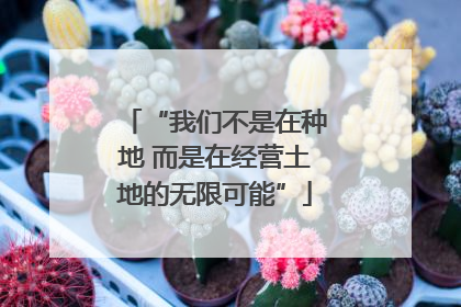 “我们不是在种地 而是在经营土地的无限可能”