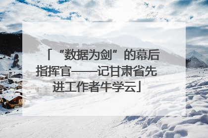 “数据为剑”的幕后指挥官——记甘肃省先进工作者牛学云