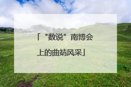 “数说”南博会上的曲靖风采