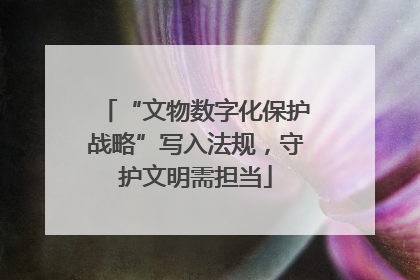 “文物数字化保护战略”写入法规，守护文明需担当