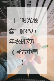 “时光胶囊”解码万年农耕文明（考古中国）