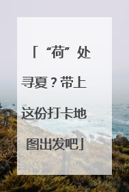 “荷”处寻夏？带上这份打卡地图出发吧