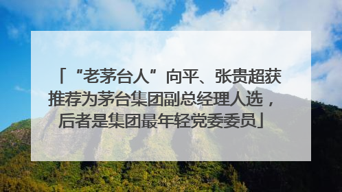 “老茅台人”向平、张贵超获推荐为茅台集团副总经理人选，后者是集团最年轻党委委员