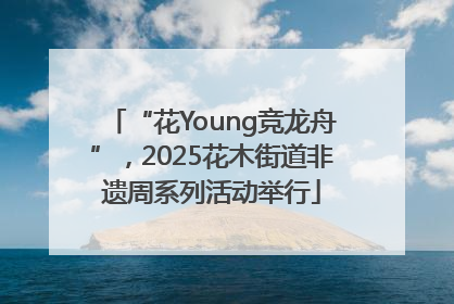 “花Young竞龙舟”，2025花木街道非遗周系列活动举行