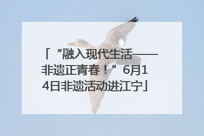 “融入现代生活——非遗正青春！”6月14日非遗活动进江宁