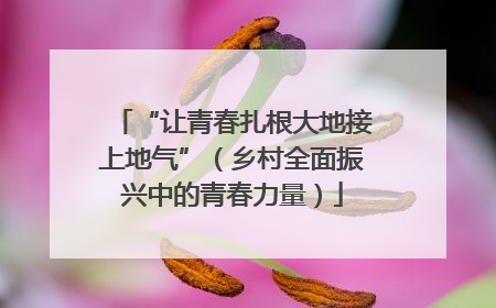 “让青春扎根大地接上地气”（乡村全面振兴中的青春力量）