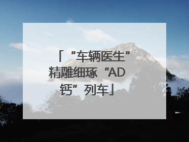 “车辆医生”精雕细琢“AD钙”列车