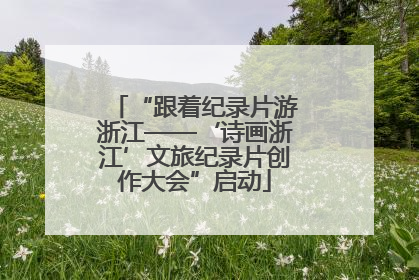 “跟着纪录片游浙江——‘诗画浙江’文旅纪录片创作大会”启动