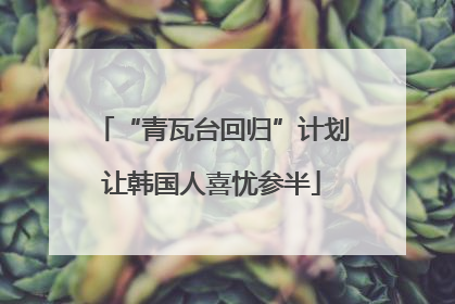 “青瓦台回归”计划让韩国人喜忧参半
