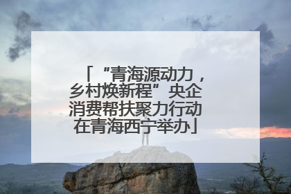 “青海源动力，乡村焕新程”央企消费帮扶聚力行动在青海西宁举办