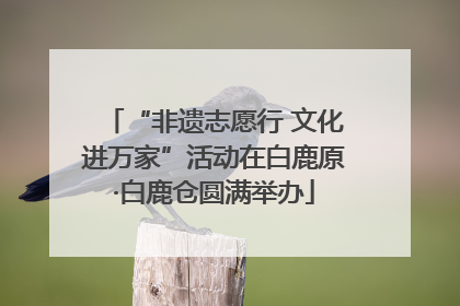 “非遗志愿行 文化进万家”活动在白鹿原·白鹿仓圆满举办