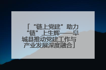 “链上党建”助力“链”上生辉——阜城县推动党建工作与产业发展深度融合