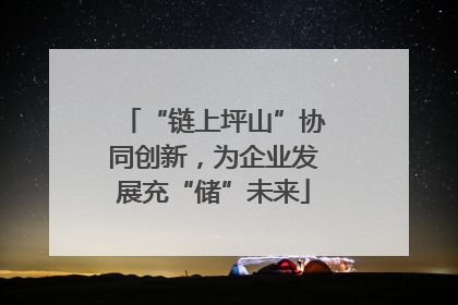 “链上坪山”协同创新，为企业发展充“储”未来