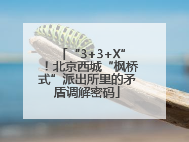 “3+3+X”！北京西城“枫桥式”派出所里的矛盾调解密码