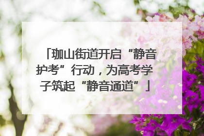 珈山街道开启“静音护考”行动，为高考学子筑起“静音通道”