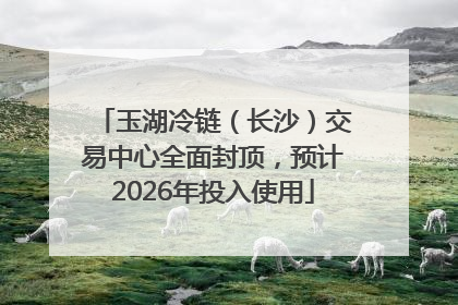 玉湖冷链（长沙）交易中心全面封顶，预计2026年投入使用