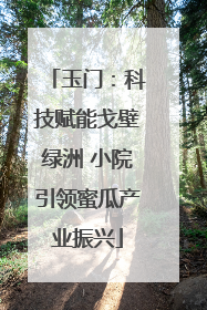 玉门：科技赋能戈壁绿洲 小院引领蜜瓜产业振兴