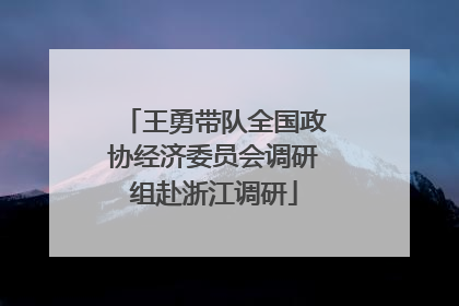 王勇带队全国政协经济委员会调研组赴浙江调研
