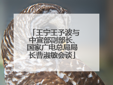 王宁王予波与中宣部副部长、国家广电总局局长曹淑敏会谈