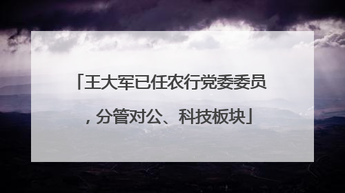 王大军已任农行党委委员，分管对公、科技板块